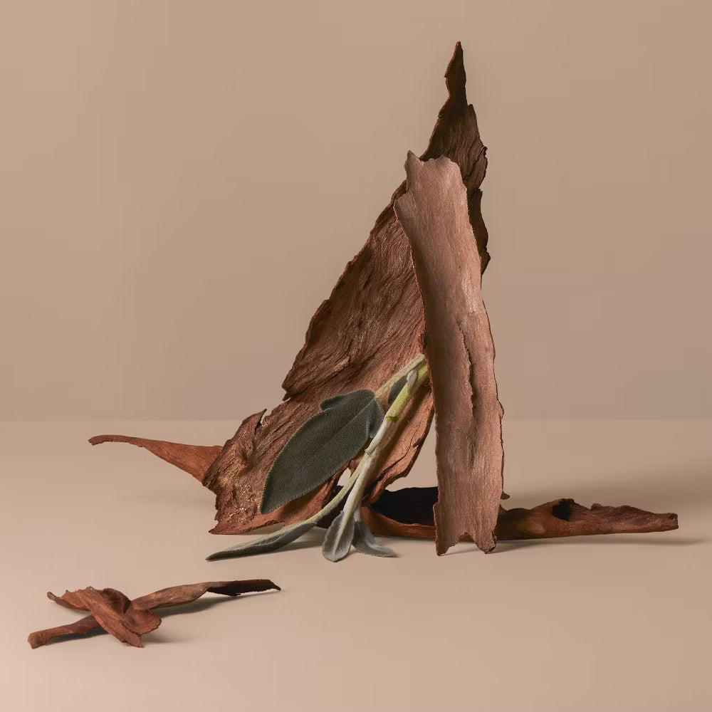 Being Frenshe Mist Corporal/Cabello